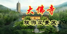 美女逼幹黑雞中国浙江-新昌大佛寺旅游风景区